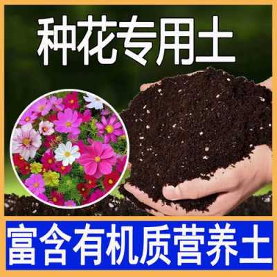 种花土壤环境（种花的基本常识土壤的选择）-图3