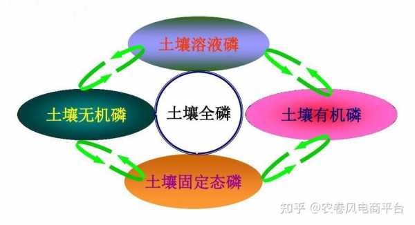 土壤磷素活化剂（土壤磷素活化剂对东北农业大学的影响）