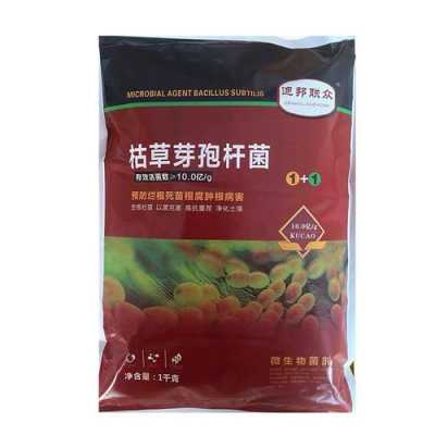 枯草芽孢杆菌土壤处理（枯草芽孢杆菌土壤消毒用法）-图3