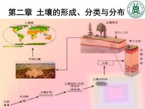 土壤与成土母质的明显差异在于（成土母质在土壤形成过程中的作用）-图3