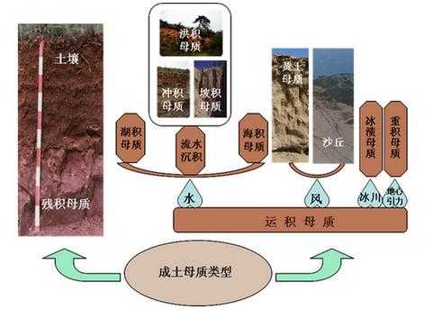 土壤与成土母质的明显差异在于（成土母质在土壤形成过程中的作用）-图2