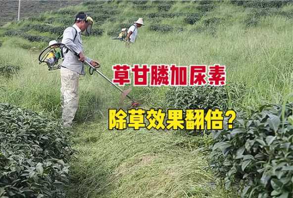 草甘膦对土壤的危害（草甘膦对土壤的危害知乎）