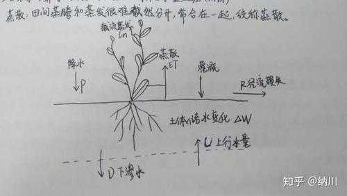 土壤灌溉（土壤灌溉水量的下限是）-图2