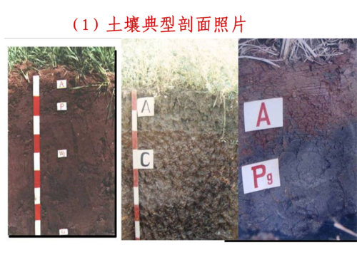 扰乱土壤剖面（破坏土壤结构）-图3