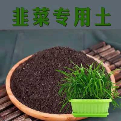 盆栽蔬菜的土壤配方（盆栽蔬菜用什么土）-图3