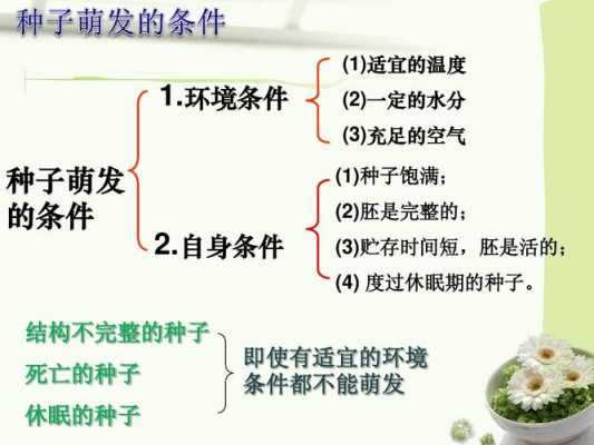 土壤中种子（土壤中种子发芽能力变迁的类型及其特点）-图2