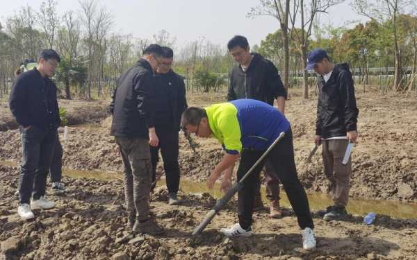 崇明土壤（崇明土壤检测机构）