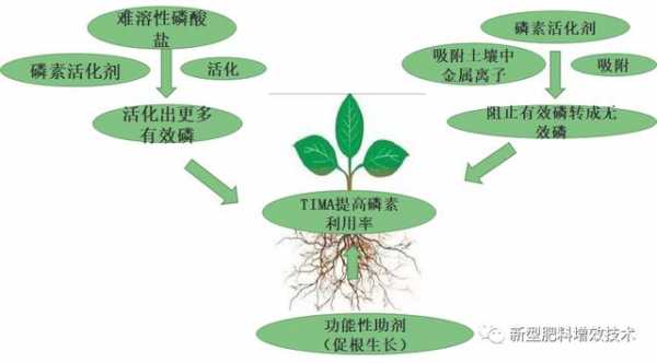 土壤LPK（土壤活化剂使用方法与作用）-图3