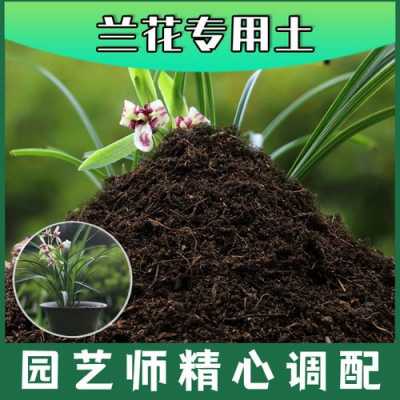 种植兰花的土壤（种植兰花的土壤哪里有卖的）