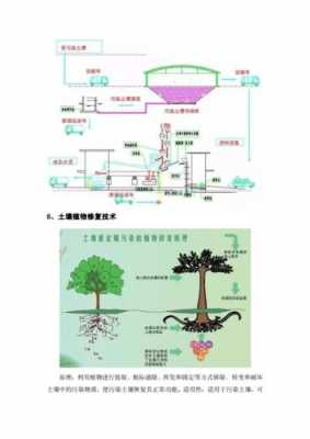 土壤原位修复技术（土壤原位修复技术定义）