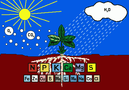 土壤的动态性（土壤动物的生态作用）-图1