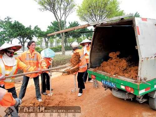 土壤的清洁工（土壤的清洁工是指什么）-图3