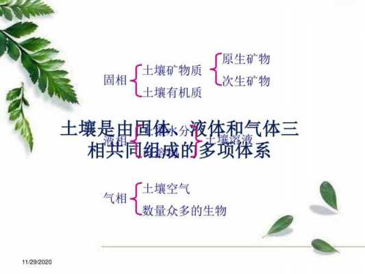 土壤化学组成（土壤化学组成包括哪些）-图2