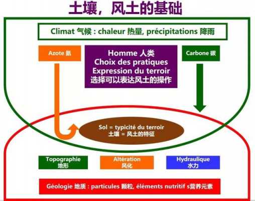 土壤经典定义（土壤经典定义是什么）-图2