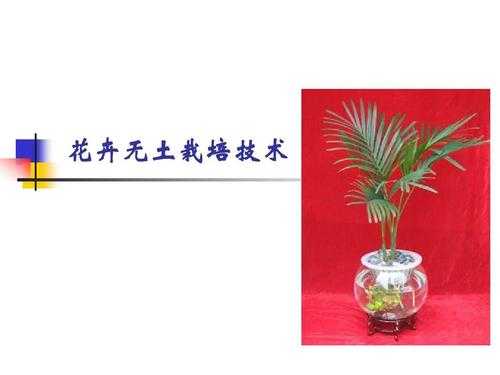 花卉土壤法规（花卉栽培要求土壤特性有哪些）