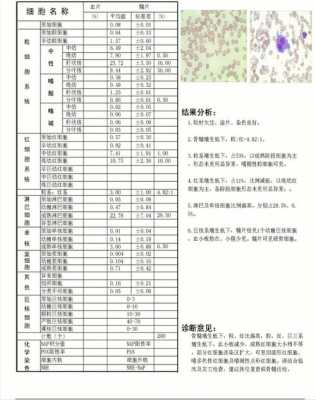 骨髓土壤（骨髓质地）-图2