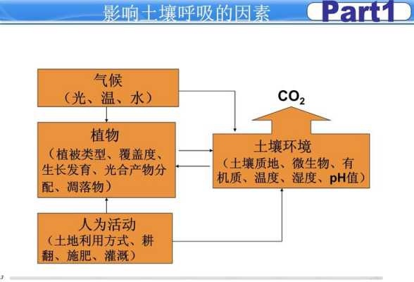 土壤呼吸的作用（土壤呼吸的作用有哪些）-图3