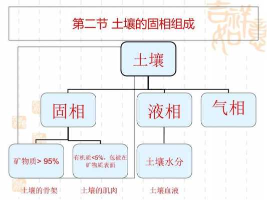 土壤由固相（土壤固相部分的主体是）-图3