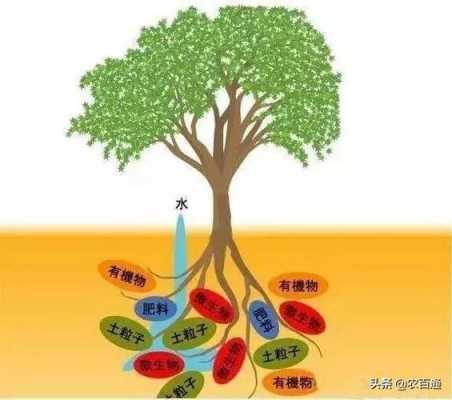 土壤吸水的原理（土壤吸水的原理有哪些）-图2