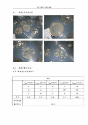 细菌土壤取样（土壤中细菌的检查实验报告结果）