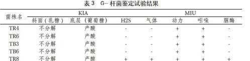 细菌土壤取样（土壤中细菌的检查实验报告结果）-图2