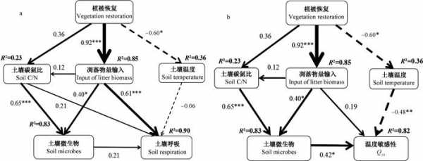 土壤呼吸重要意义（土壤呼吸过程的机制）